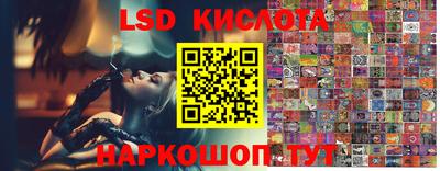 ПСИЛОЦИБИНОВЫЕ ГРИБЫ Ефремов