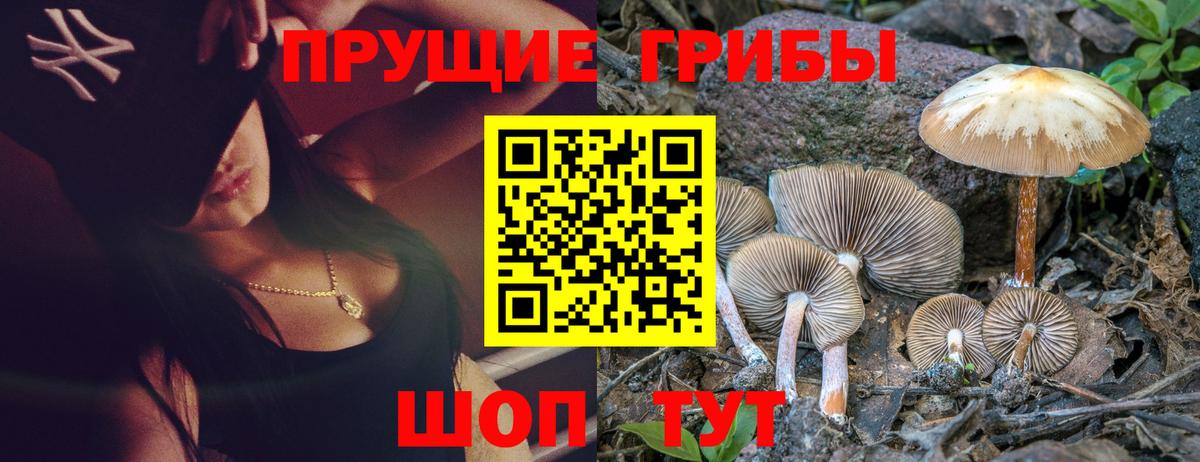 Брянск  купить наркоту  Вход с VPN  Галлюциногенные грибы GOLDEN TEACHER 