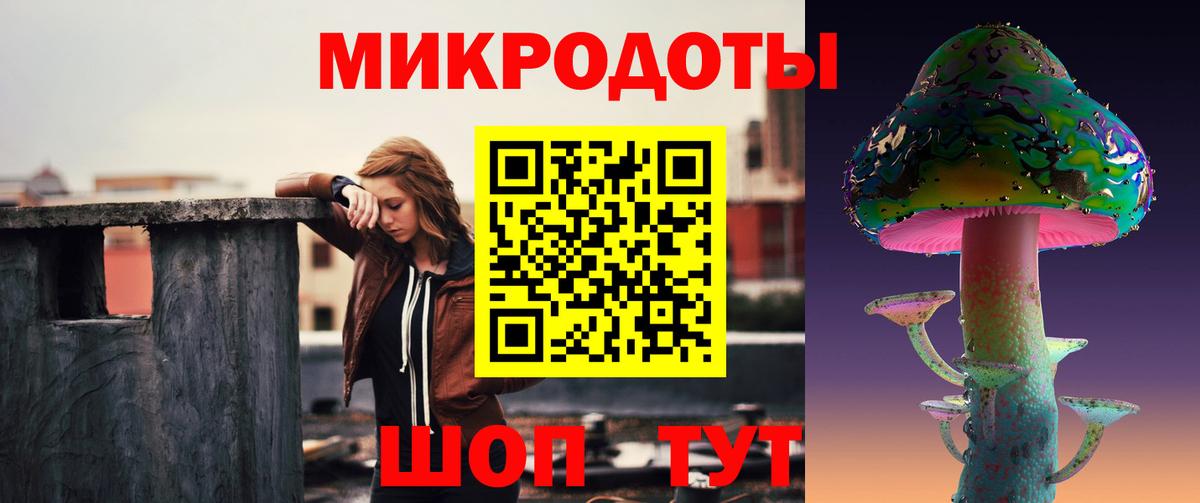 Псилоцибиновые грибы Psilocybine cubensis Брянск